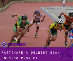 Pattinare a Delbert Egan Housing Project