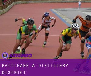 Pattinare a Distillery District