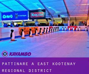 Pattinare a East Kootenay Regional District
