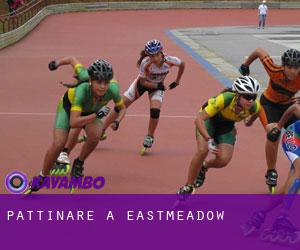 Pattinare a Eastmeadow