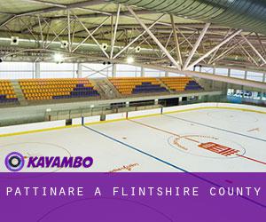 Pattinare a Flintshire County Pattinare a Flintshire County