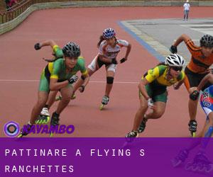 Pattinare a Flying S Ranchettes