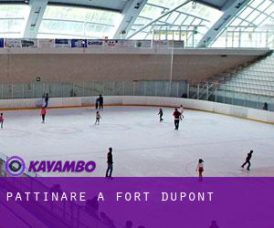 Pattinare a Fort Dupont