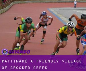 Pattinare a Friendly Village of Crooked Creek