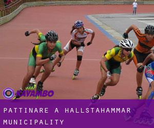 Pattinare a Hallstahammar Municipality