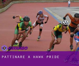 Pattinare a Hawk Pride