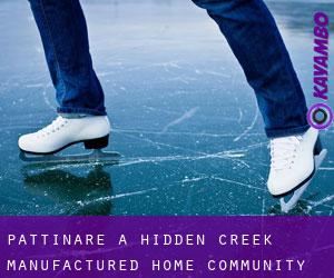 Pattinare a Hidden Creek Manufactured Home Community