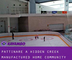 Pattinare a Hidden Creek Manufactured Home Community