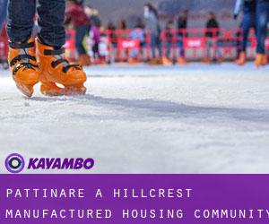 Pattinare a Hillcrest Manufactured Housing Community