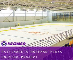 Pattinare a Hoffman Plaza Housing Project