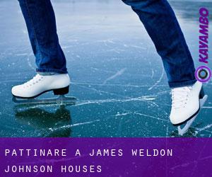 Pattinare a James Weldon Johnson Houses