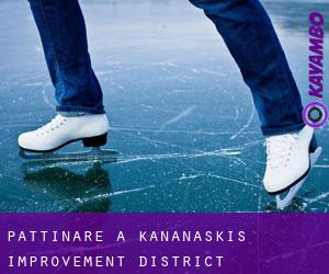 Pattinare a Kananaskis Improvement District