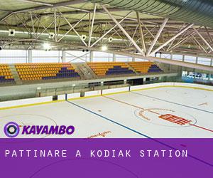 Pattinare a Kodiak Station