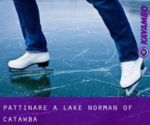Pattinare a Lake Norman of Catawba