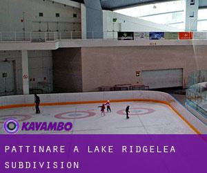 Pattinare a Lake Ridgelea Subdivision