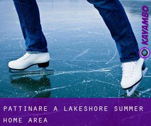 Pattinare a Lakeshore Summer Home Area