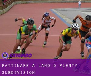 Pattinare a Land-O-Plenty Subdivision