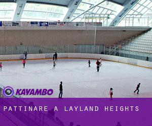 Pattinare a Layland Heights