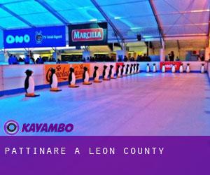 Pattinare a Leon County Pattinare a Leon County