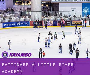 Pattinare a Little River-Academy
