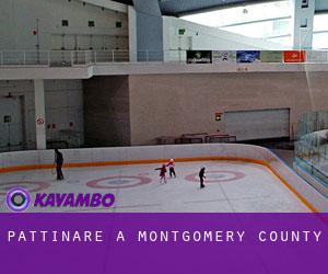 Pattinare a Montgomery County Pattinare a Montgomery County