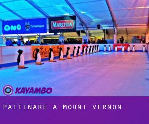 Pattinare a Mount Vernon Pattinare a Mount Vernon