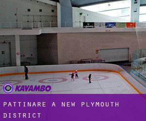 Pattinare a New Plymouth District