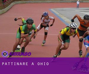 Pattinare a Ohio Pattinare a Ohio