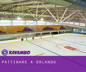 Pattinare a Orlando Pattinare a Orlando