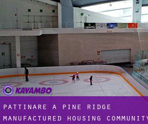 Pattinare a Pine Ridge Manufactured Housing Community