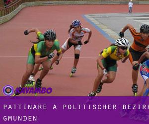 Pattinare a Politischer Bezirk Gmunden