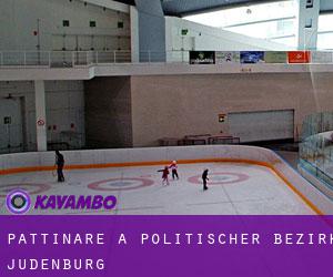 Pattinare a Politischer Bezirk Judenburg