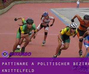 Pattinare a Politischer Bezirk Knittelfeld