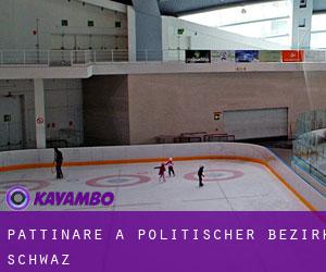 Pattinare a Politischer Bezirk Schwaz