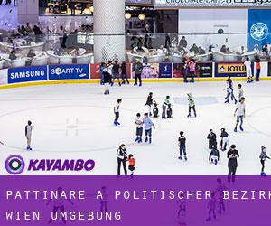 Pattinare a Politischer Bezirk Wien Umgebung Pattinare a Politischer Bezirk Wien Umgebung