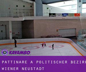 Pattinare a Politischer Bezirk Wiener Neustadt