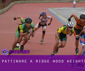 Pattinare a Ridge Wood Heights