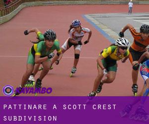 Pattinare a Scott Crest Subdivision