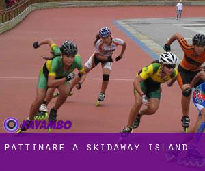 Pattinare a Skidaway Island