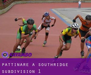 Pattinare a Southridge Subdivision 1