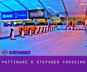 Pattinare a Stepanek Crossing
