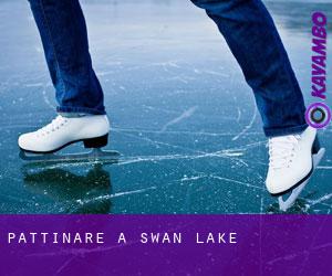 Pattinare a Swan Lake