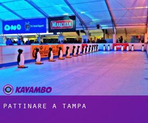 Pattinare a Tampa Pattinare a Tampa