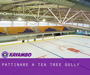 Pattinare a Tea Tree Gully Pattinare a Tea Tree Gully