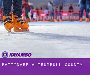 Pattinare a Trumbull County Pattinare a Trumbull County