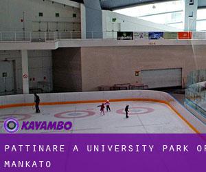 Pattinare a University Park of Mankato