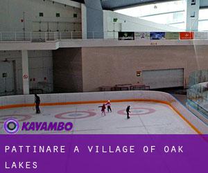 Pattinare a Village of Oak Lakes