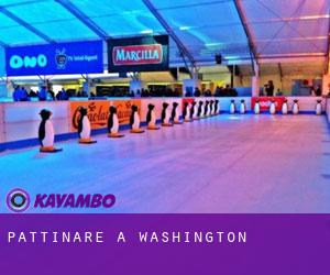 Pattinare a Washington Pattinare a Washington