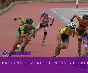Pattinare a White Mesa Village