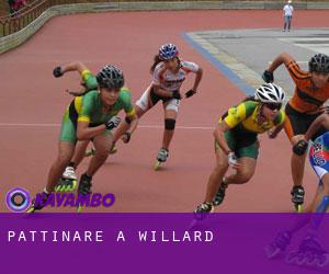 Pattinare a Willard